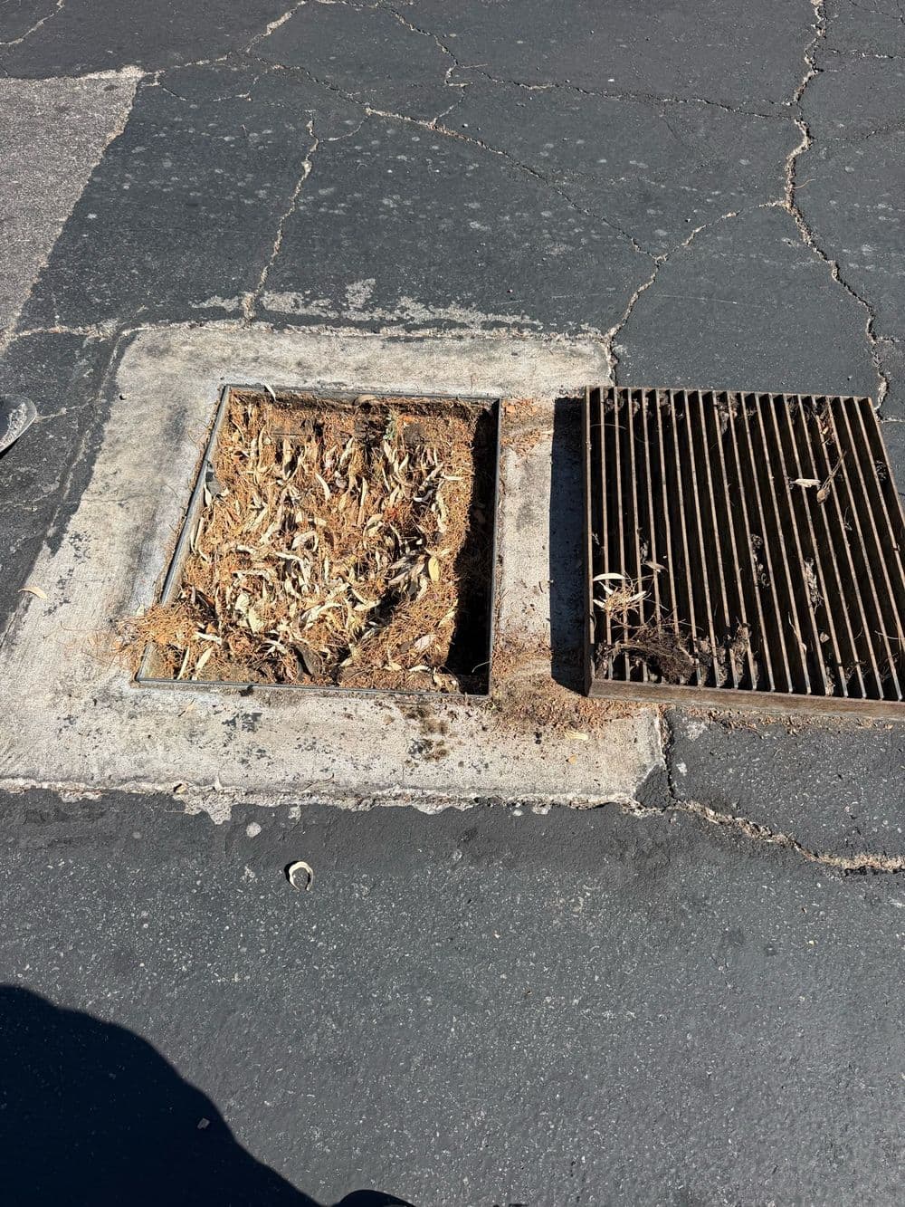 Catch basin packed with sand, leaves and trash before cleaning